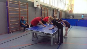 2016-06-Reinigung-Platten2